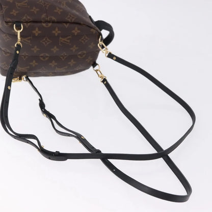 Louis Vuitton Palm Springs Monogram, Brown, Canvas, Backpack