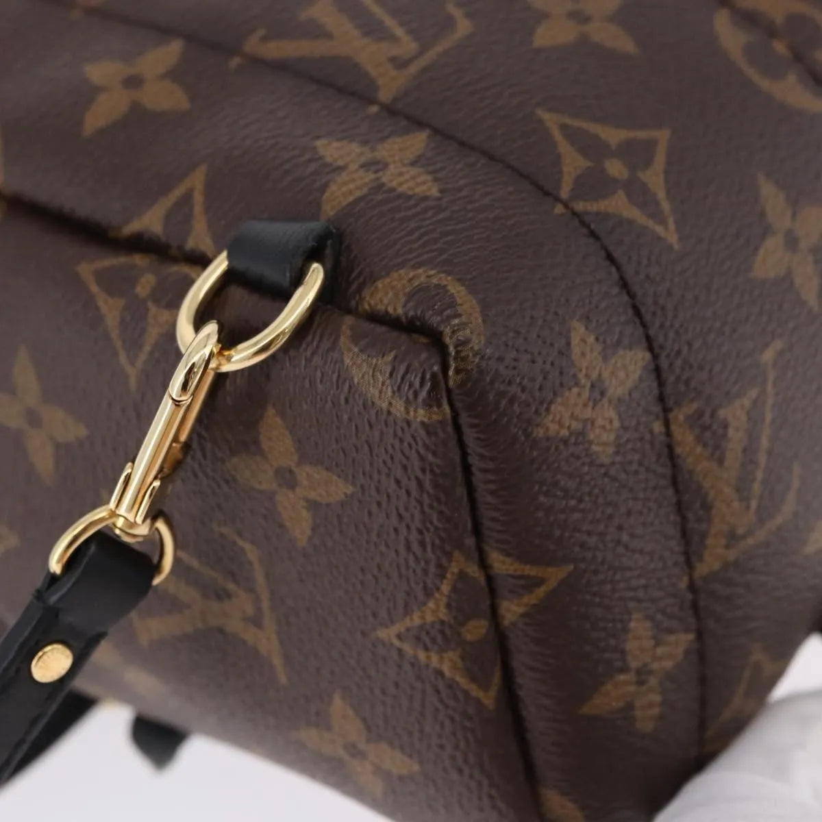 Louis Vuitton Palm Springs Monogram, Brown, Canvas, Backpack