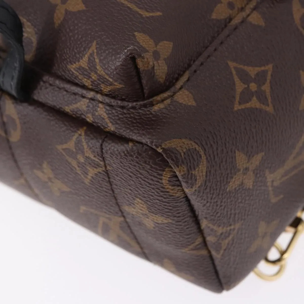 Louis Vuitton Palm Springs Monogram, Brown, Canvas, Backpack