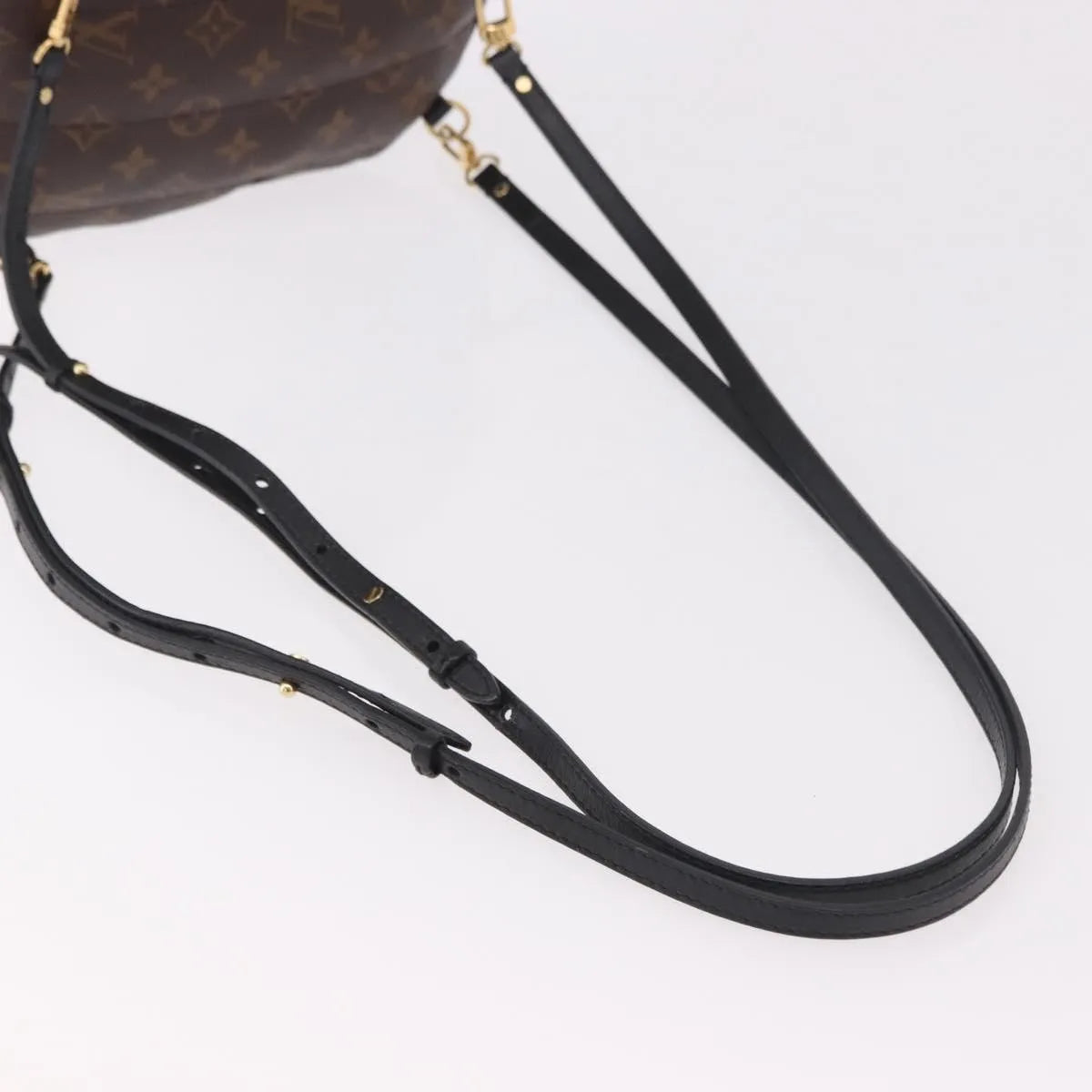 Louis Vuitton Palm Springs Limited, Brown, Canvas, Backpack
