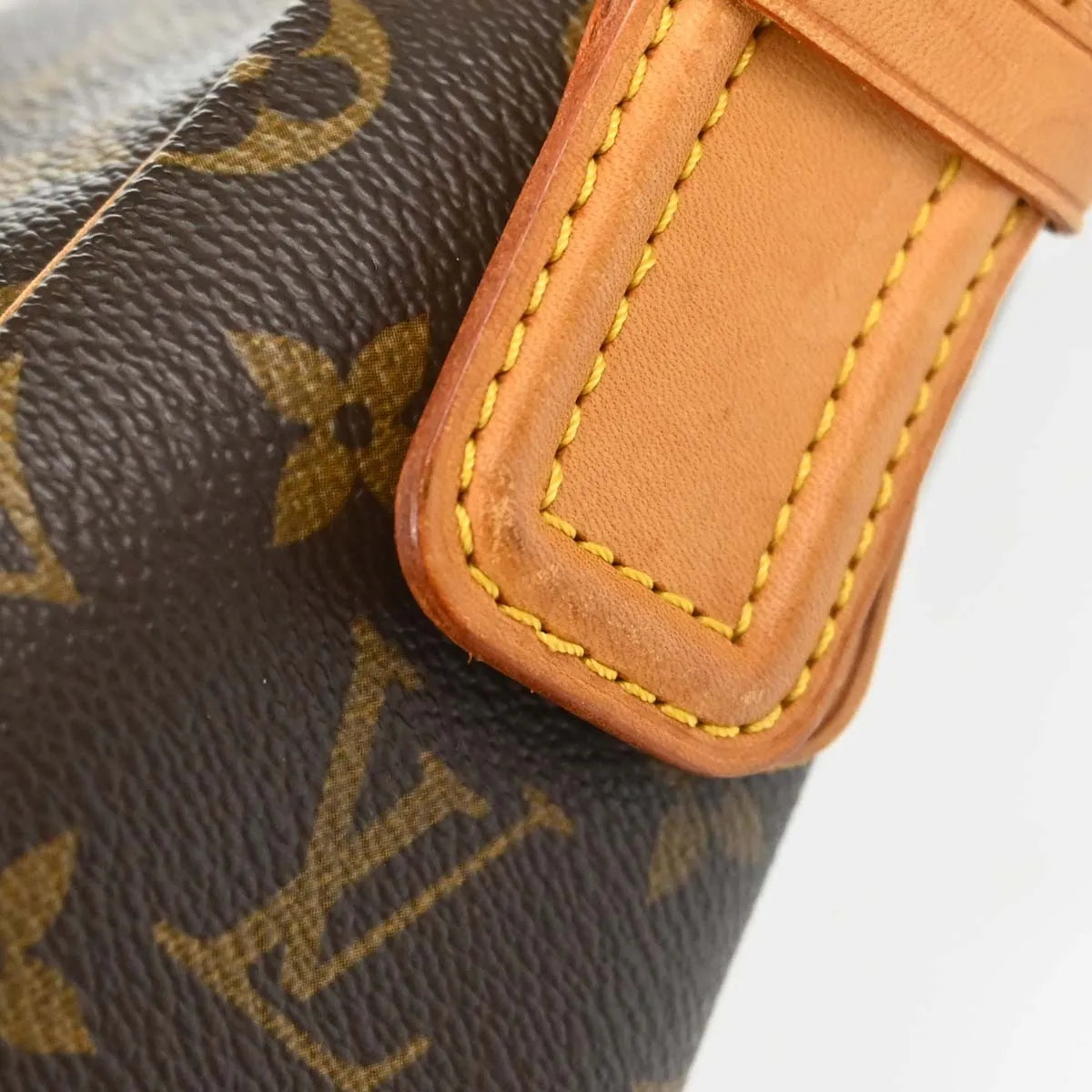 Louis Vuitton Viva Cite Monogram, Brown, Canvas, Handbag