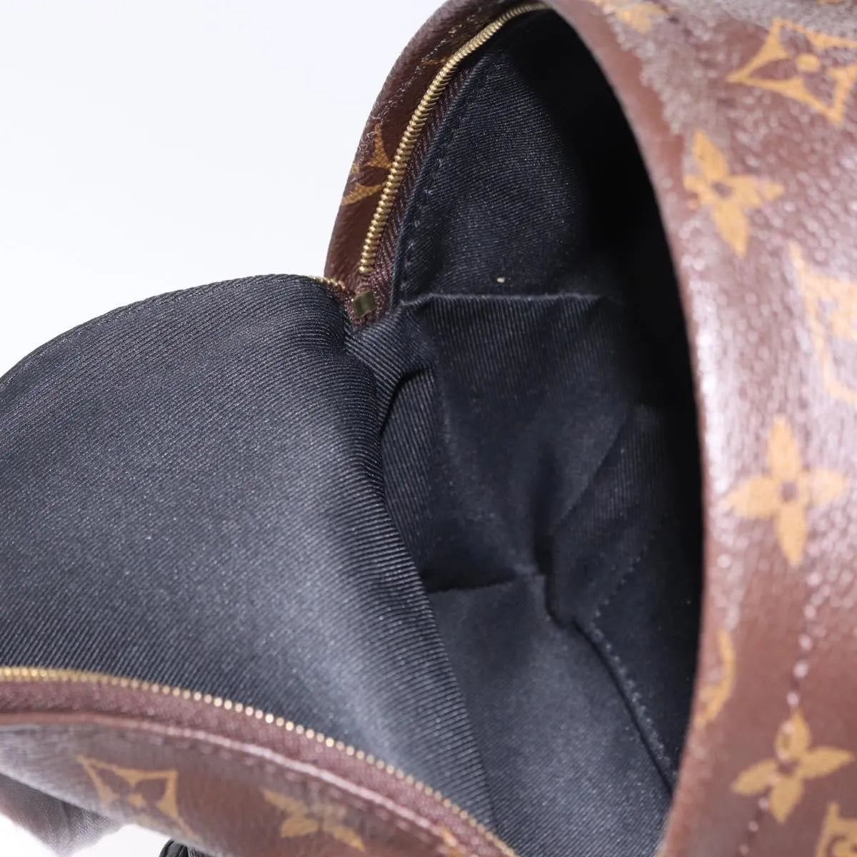 Louis Vuitton Palm Springs Monogram, Brown, Canvas, Backpack