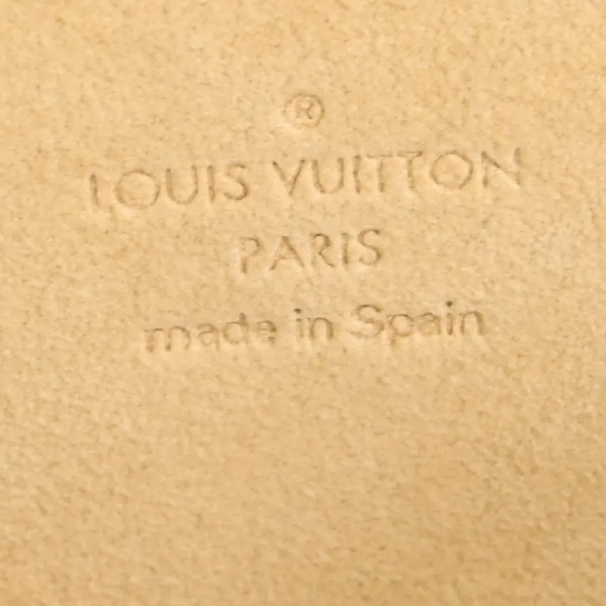 Louis Vuitton Twin Canvas, Brown, Canvas, Clutch