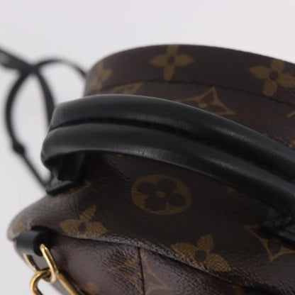Louis Vuitton Palm Springs Limited, Brown, Canvas, Backpack