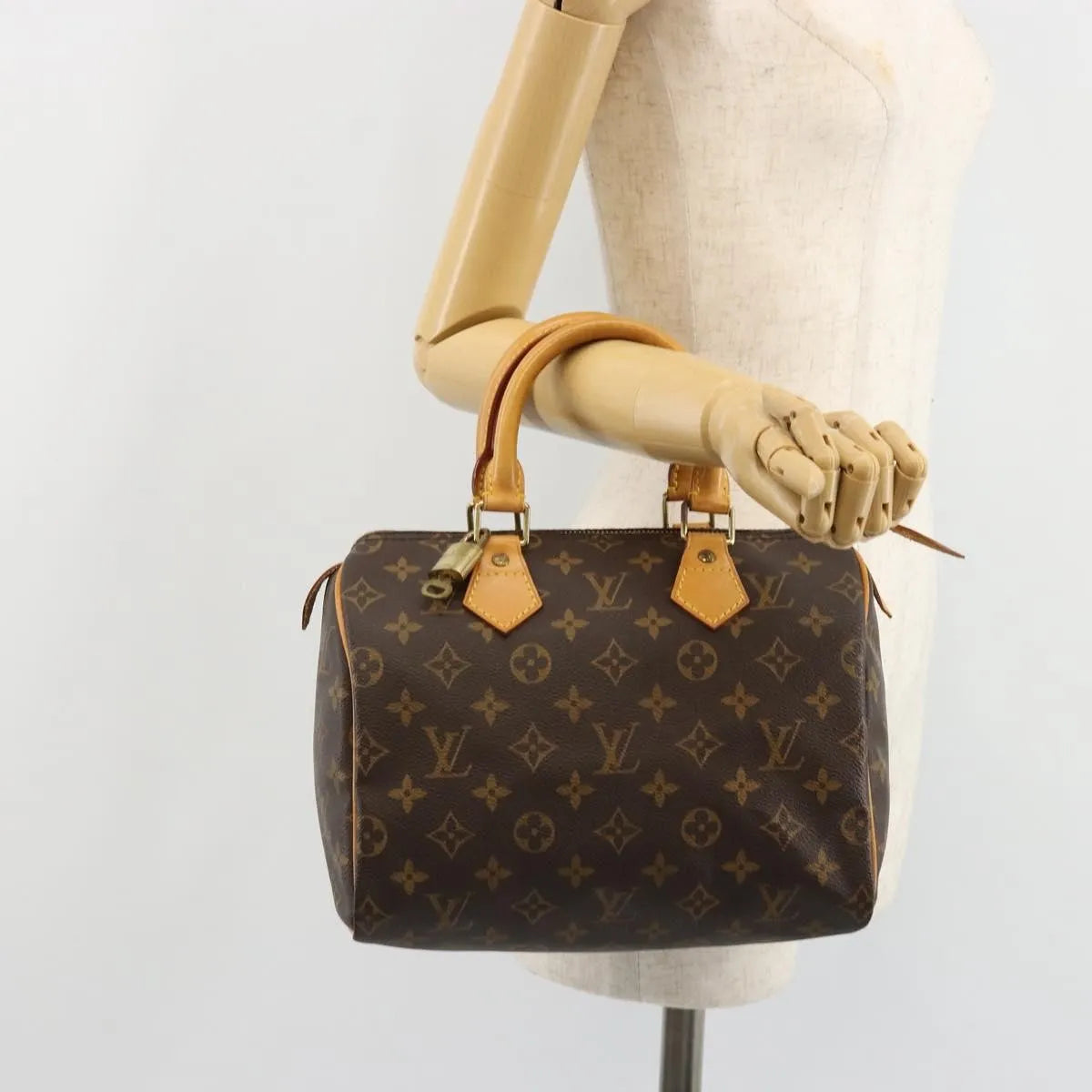 Louis Vuitton Speedy Monogram Canvas, Neutral, Canvas, Handbag