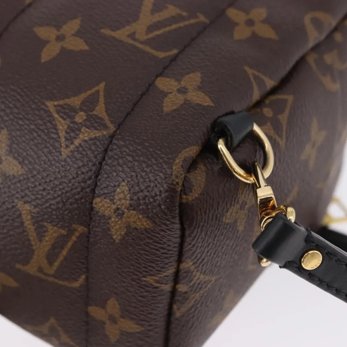 Louis Vuitton Palm Springs Monogram, Brown, Canvas, Backpack