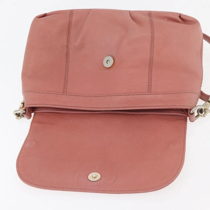 Burberry Blue Label Nylon, Pink, Leather, Shoulder Bag