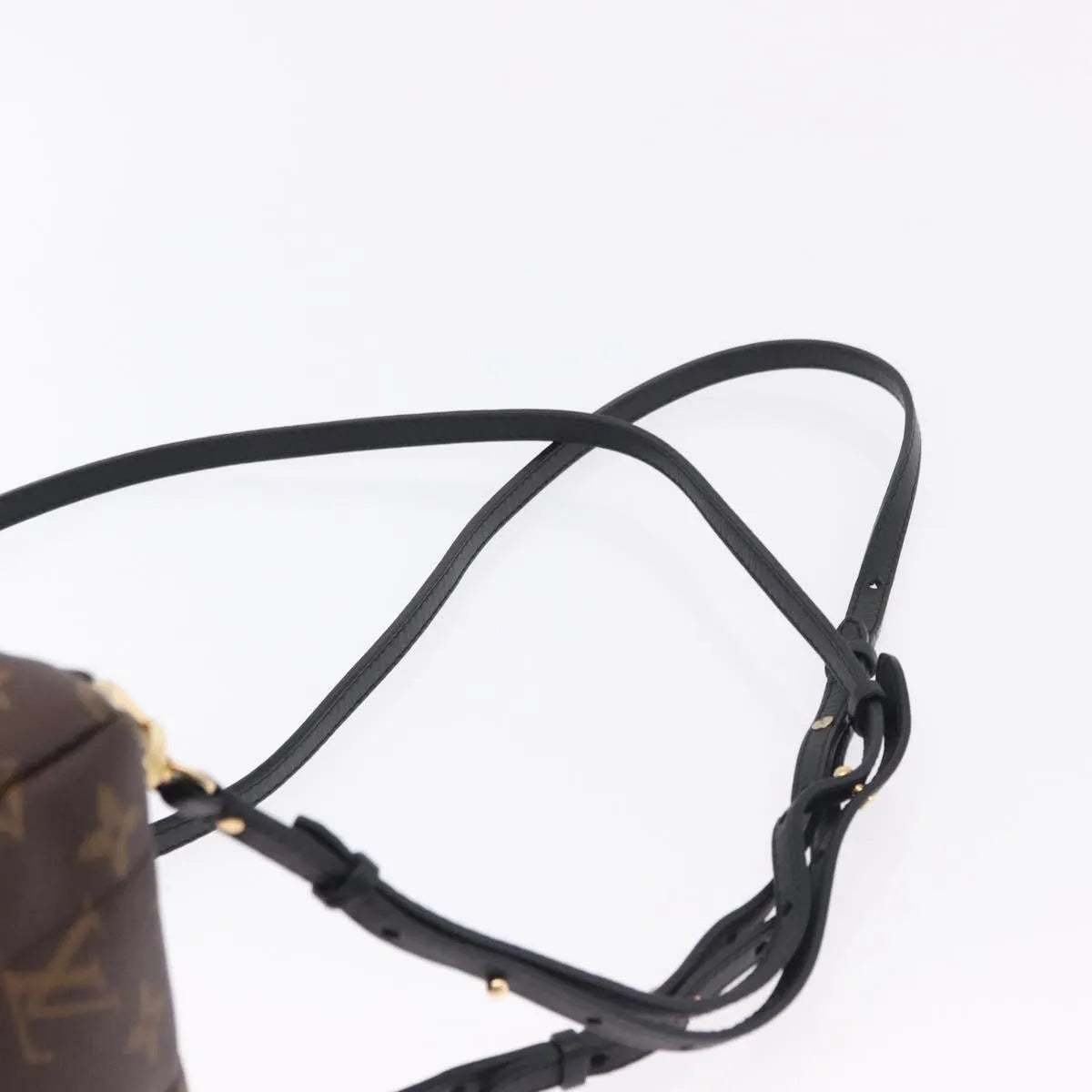 Louis Vuitton Palm Springs Monogram, Brown, Canvas, Backpack