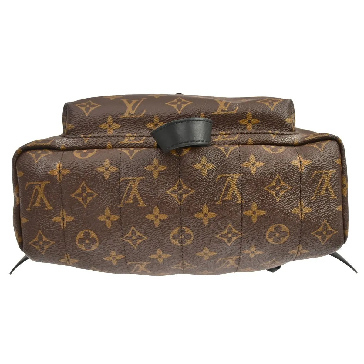 Louis Vuitton Palm Springs Monogram Canvas, Brown, Canvas, Backpack
