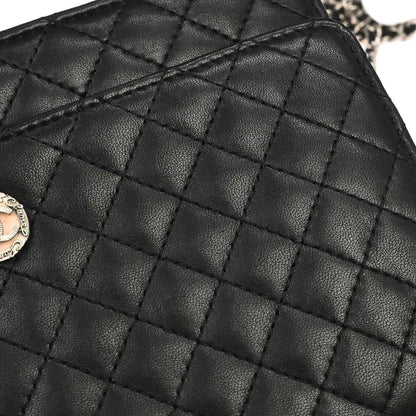 Chanel Wallet on Chain Quilted Lambskin, Black, Leather, Wallet