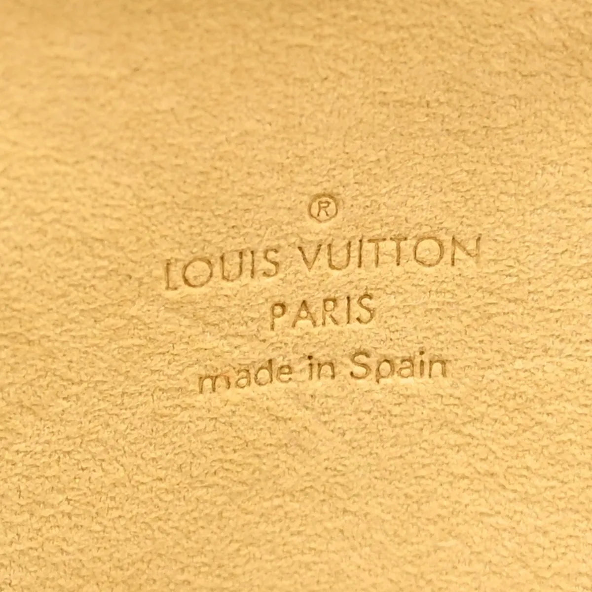 Louis Vuitton Twin Canvas, Brown, Canvas, Clutch