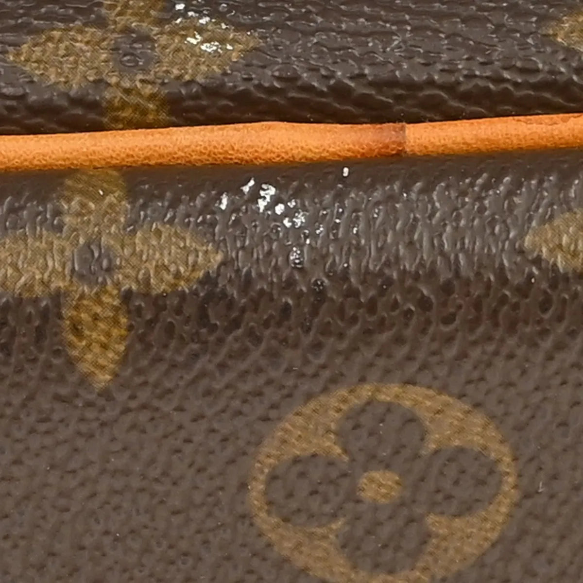 Louis Vuitton Vanity Monogram, Brown, Canvas, Handbag