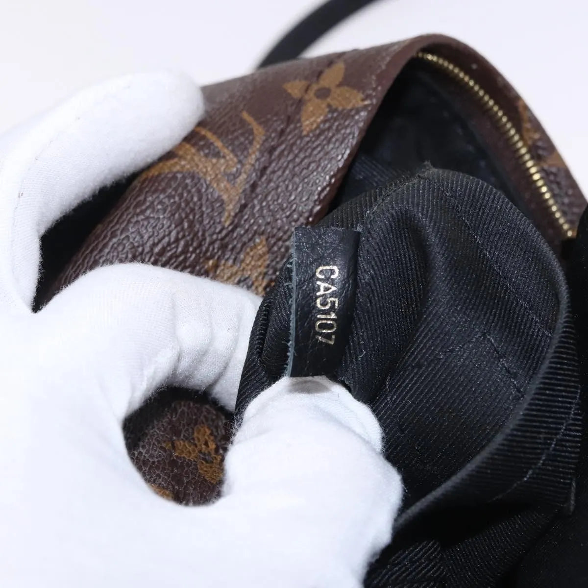 Louis Vuitton Palm Springs Monogram, Brown, Canvas, Backpack