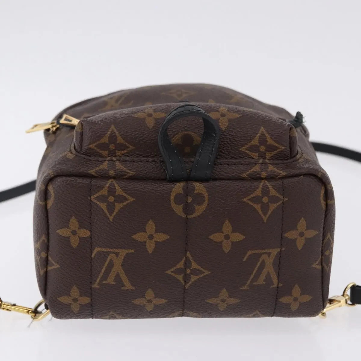 Louis Vuitton Palm Springs Monogram, Brown, Canvas, Backpack