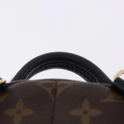 Louis Vuitton Palm Springs Monogram, Brown, Canvas, Backpack