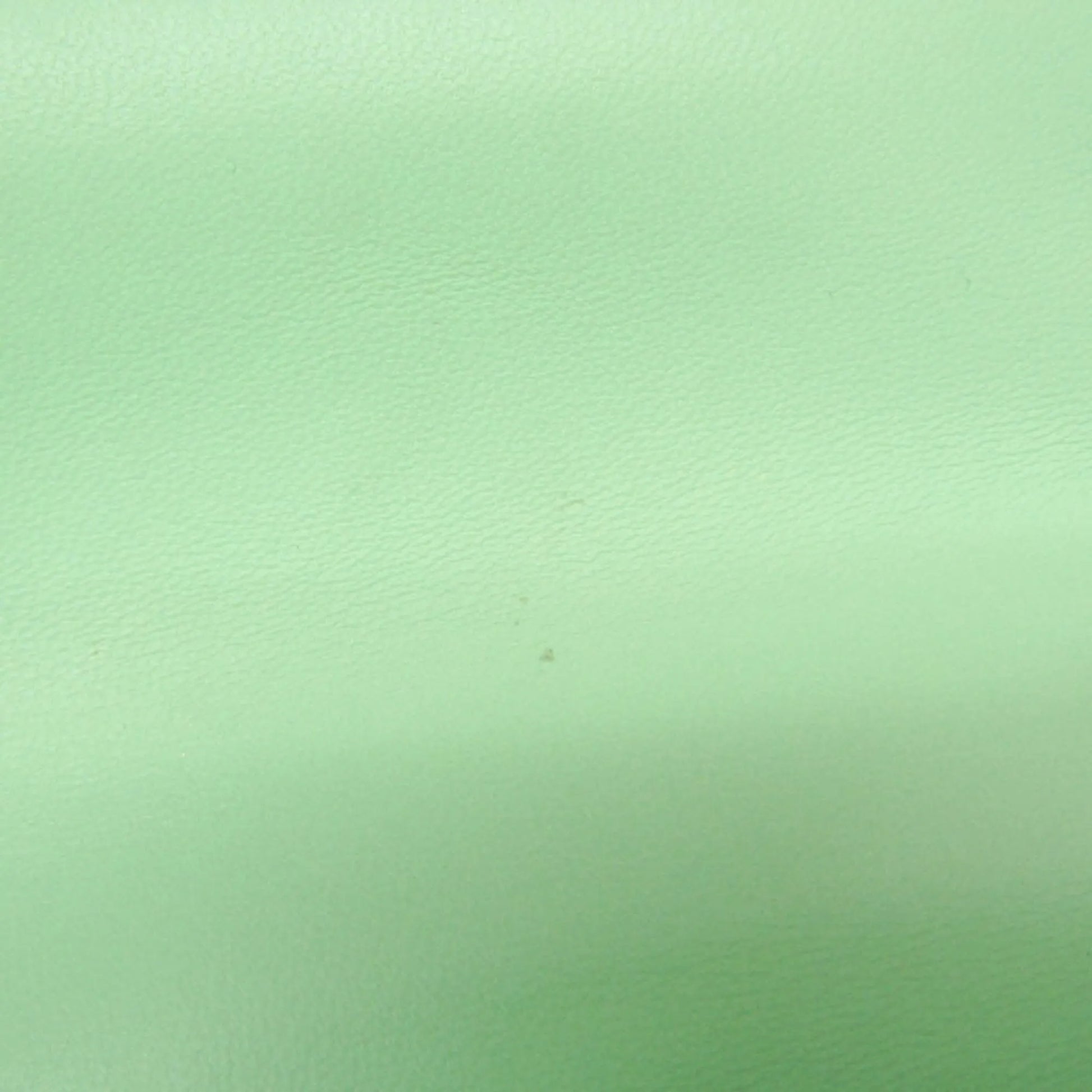 Bottega Veneta Mount Leather, Green, Leather, Shoulder Bag