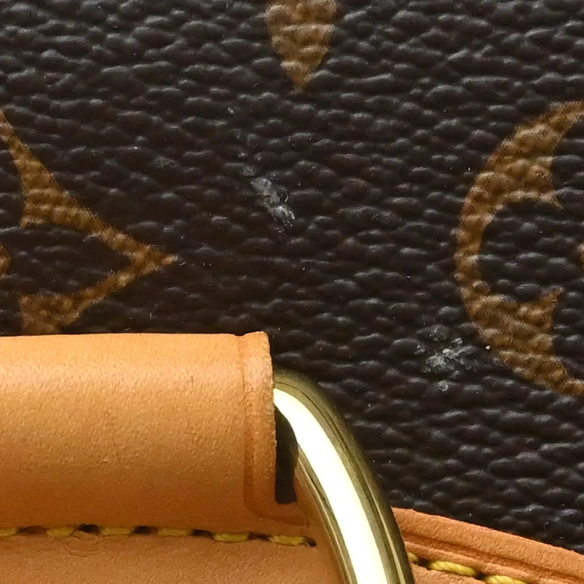 Louis Vuitton Montsouris NM Monogram Canvas, Brown, Canvas, Backpack