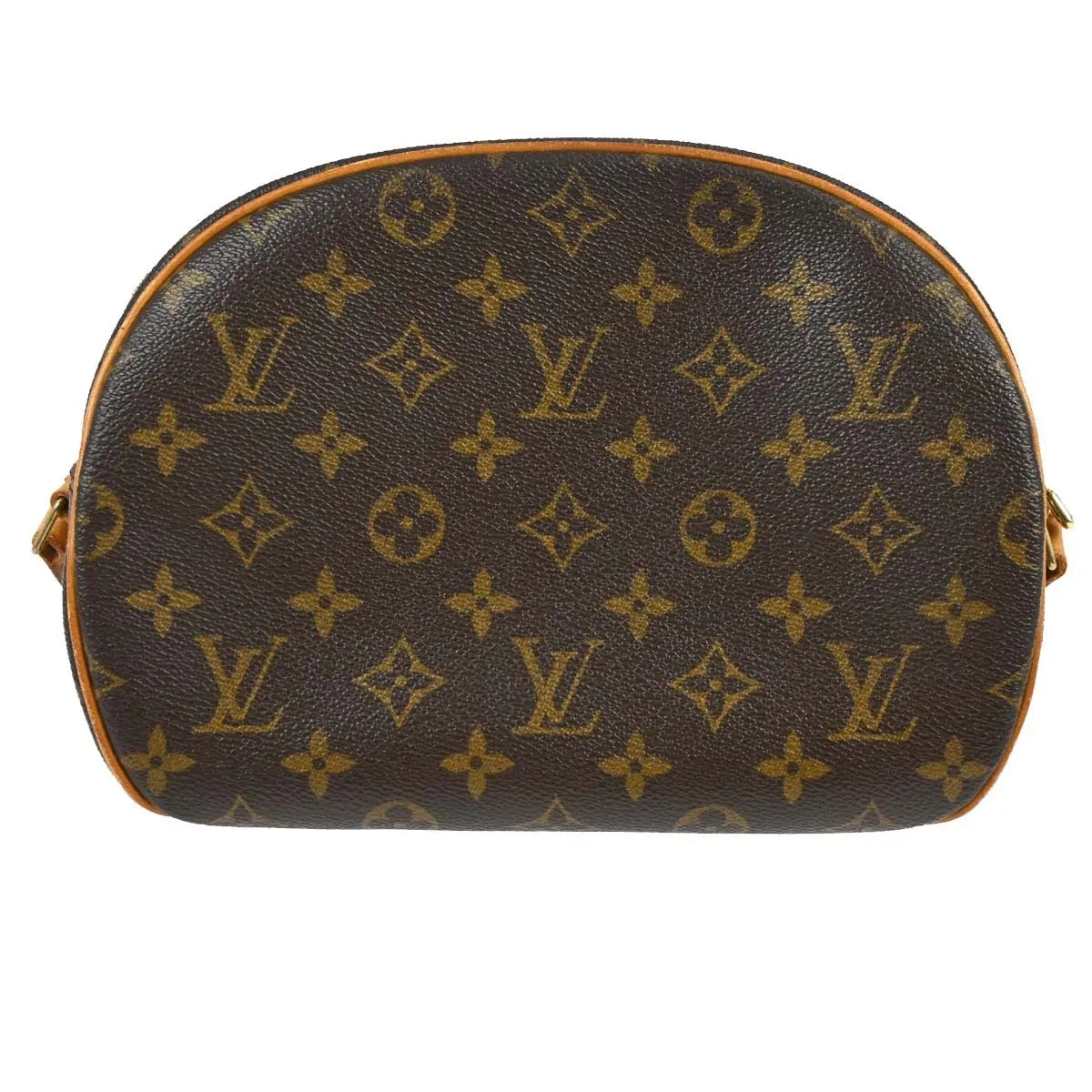 Louis Vuitton Blois Monogram Canvas, Brown, Canvas, Shoulder Bag