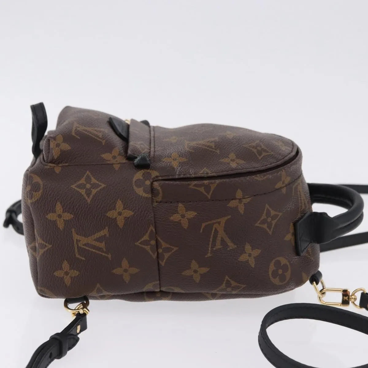 Louis Vuitton Palm Springs Monogram, Brown, Canvas, Backpack
