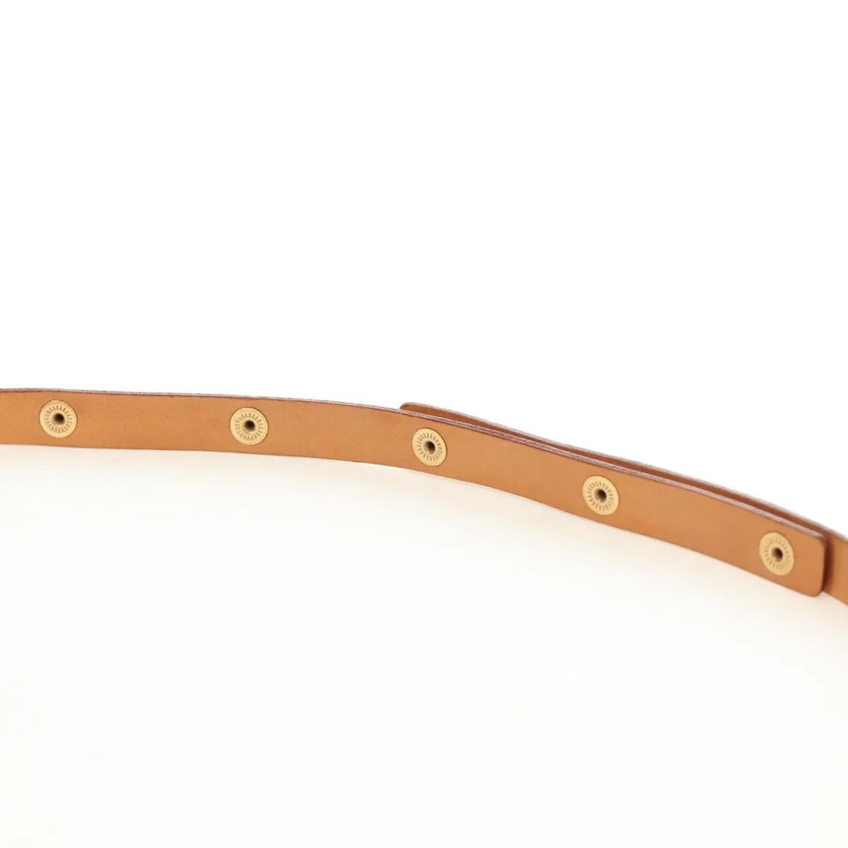 Louis Vuitton Florentine Waist Monogram Canvas, Brown, Canvas, Clutch