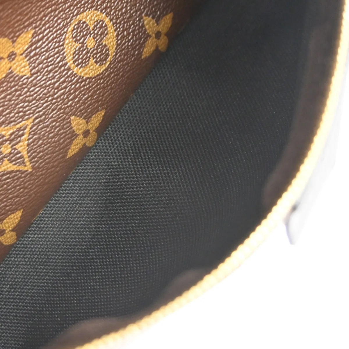 Louis Vuitton Palm Springs Monogram Canvas, Brown, Canvas, Backpack