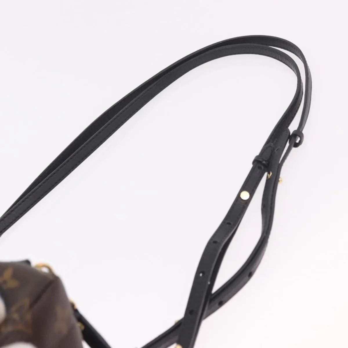 Louis Vuitton Palm Springs Limited, Brown, Canvas, Backpack