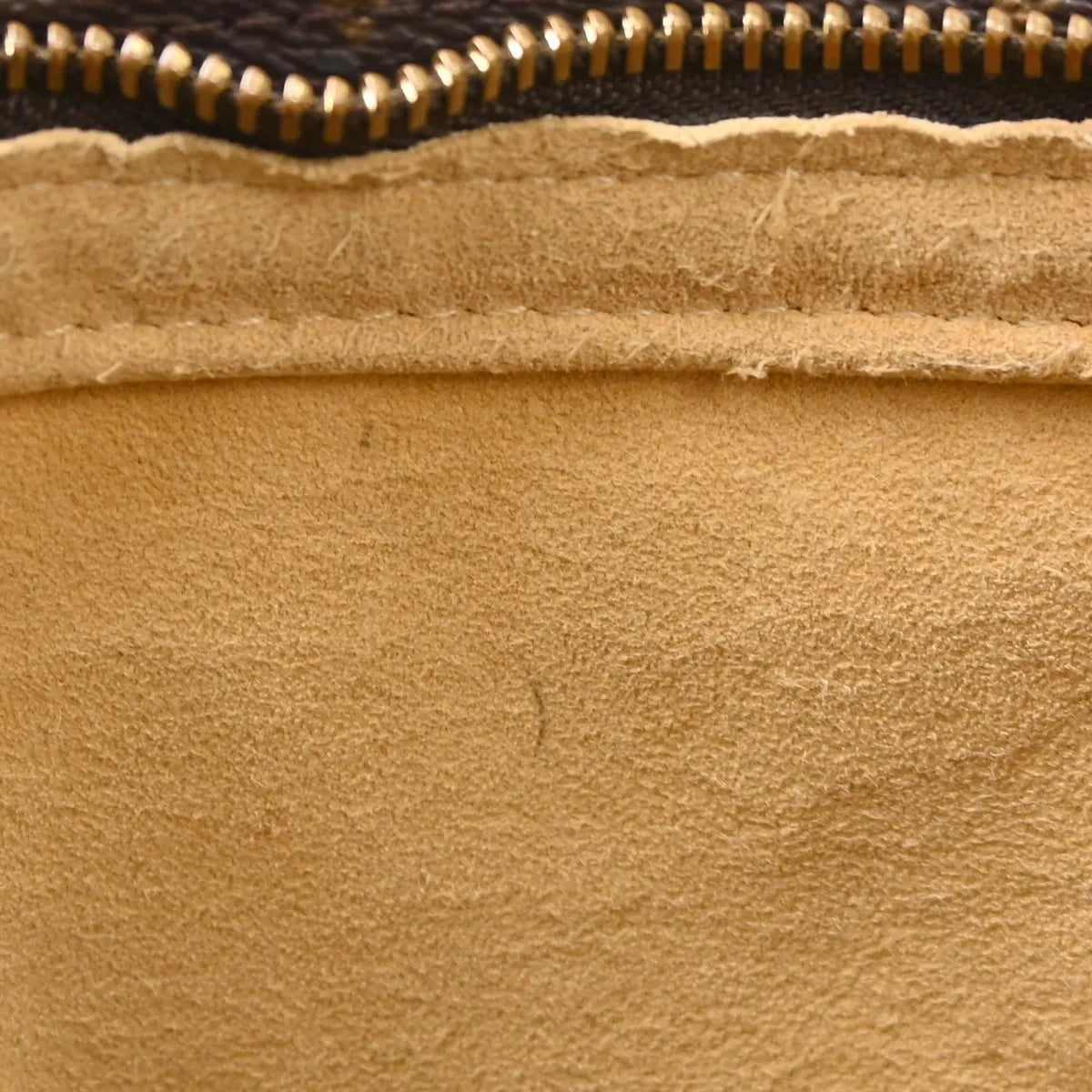 Louis Vuitton Loop Hobo Canvas, Brown, Canvas, Shoulder Bag